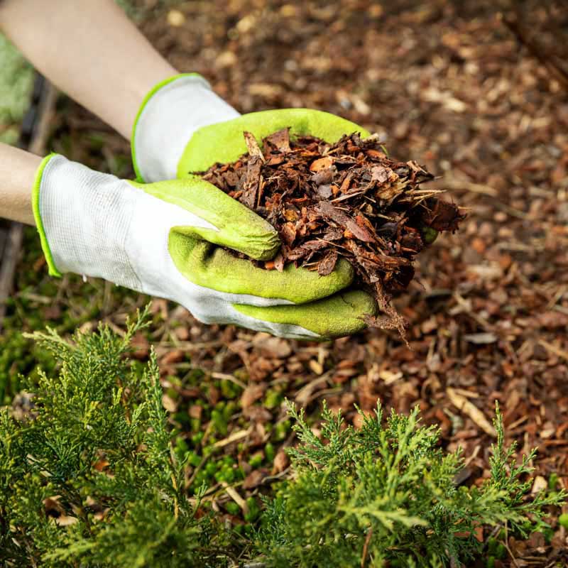 Mulching